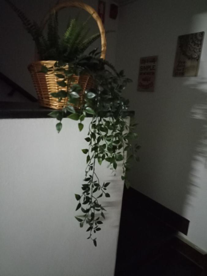 Hostel Vilarade 波尔蒂芒 外观 照片